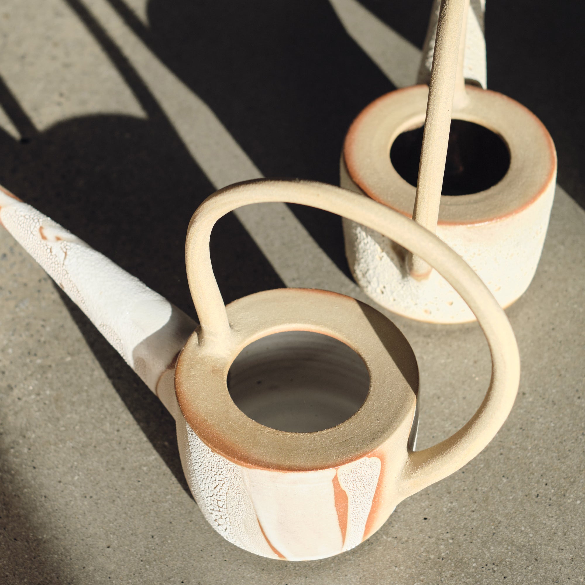 Desert Hummingbird Watering Can