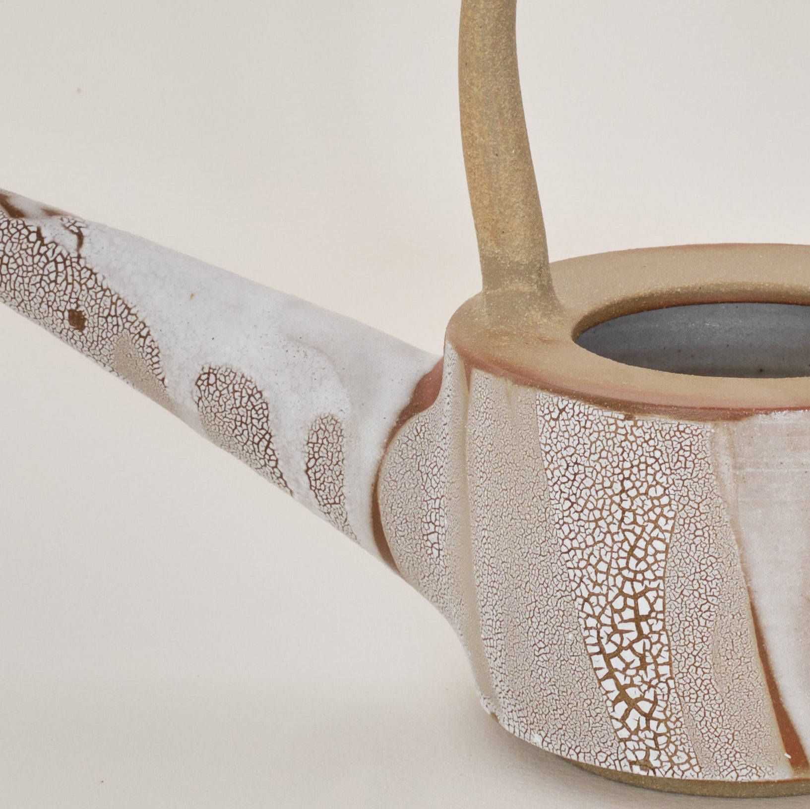 Desert Hummingbird Watering Can